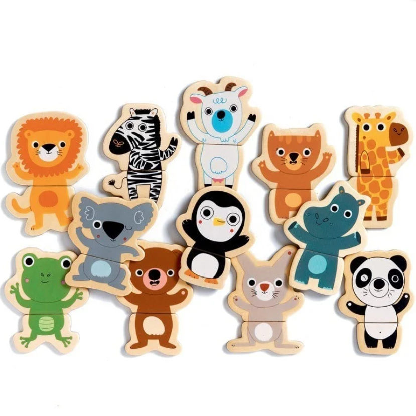 DjecoDjeco Mıknatıslı Oyunlar - CoucouDJ03118