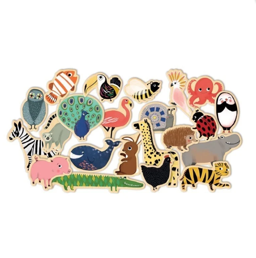 DjecoDjeco Mıknatıslı Oyunlar - MagnimoDJ03124