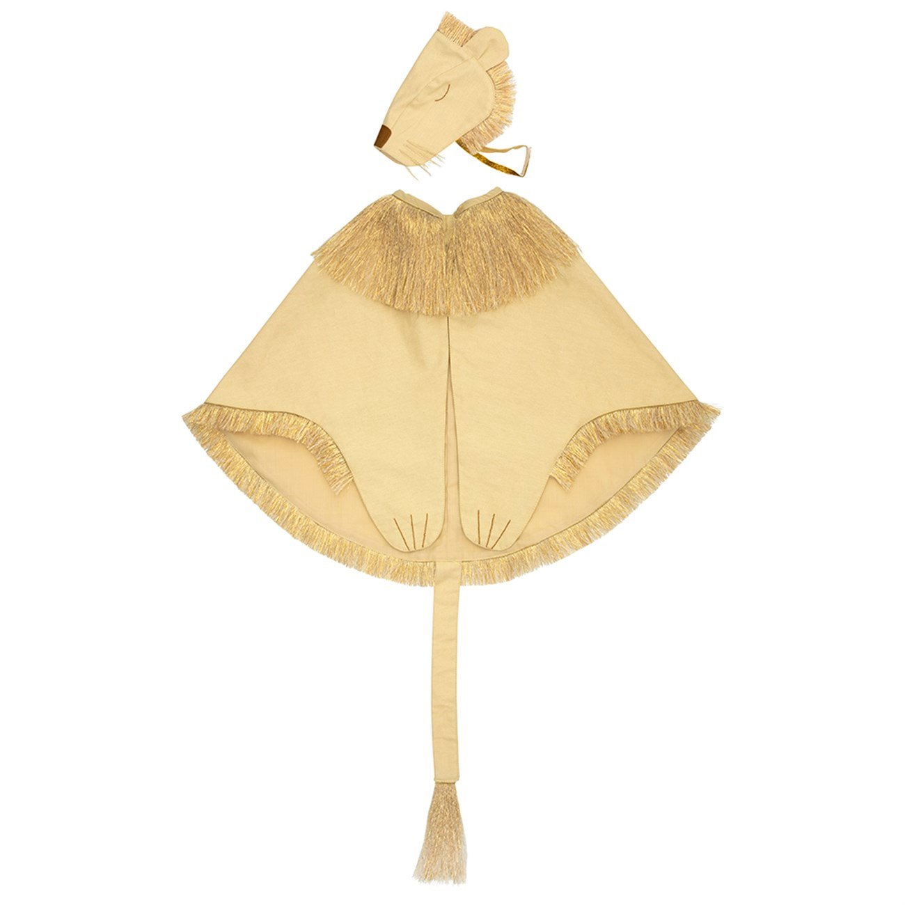 Aslan Kostümü Gizden Gelenler