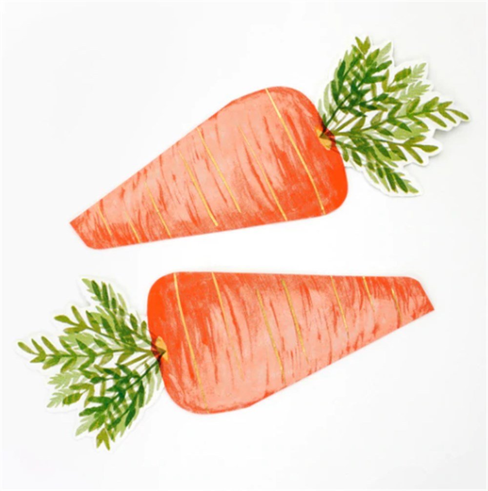 Havuç Peçeteler (16'lı) Gizden Gelenler