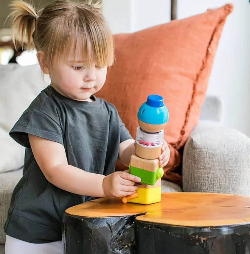 HapeHape Baby Einstein Ahşap Duyu Seti800851