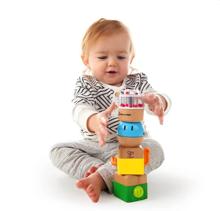 HapeHape Baby Einstein Ahşap Duyu Seti800851