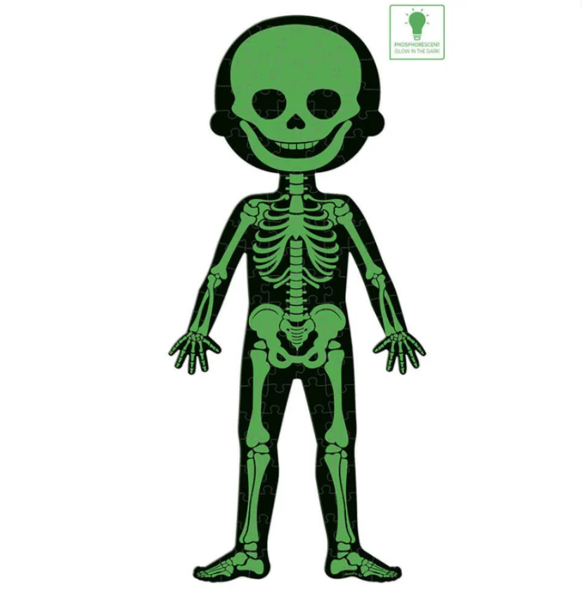 JanodJanod Öğretici Puzzle - İnsan Vücudu 4'lü Setj02681