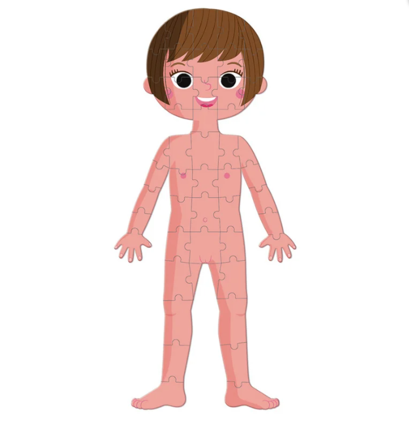 JanodJanod Öğretici Puzzle - İnsan Vücudu 4'lü Setj02681