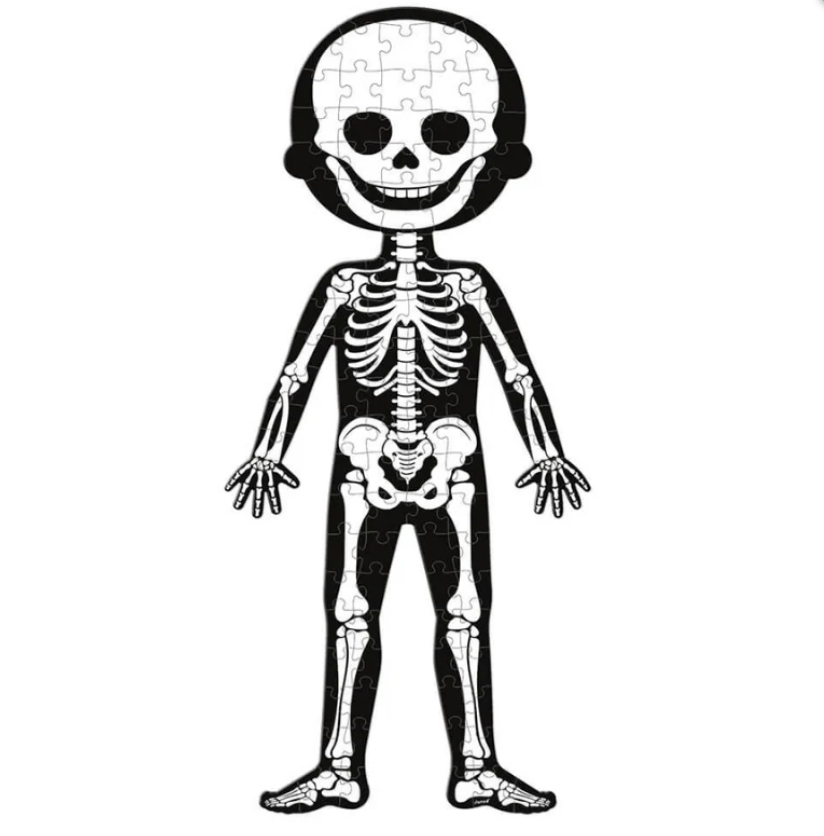 JanodJanod Öğretici Puzzle - İnsan Vücudu 4'lü Setj02681