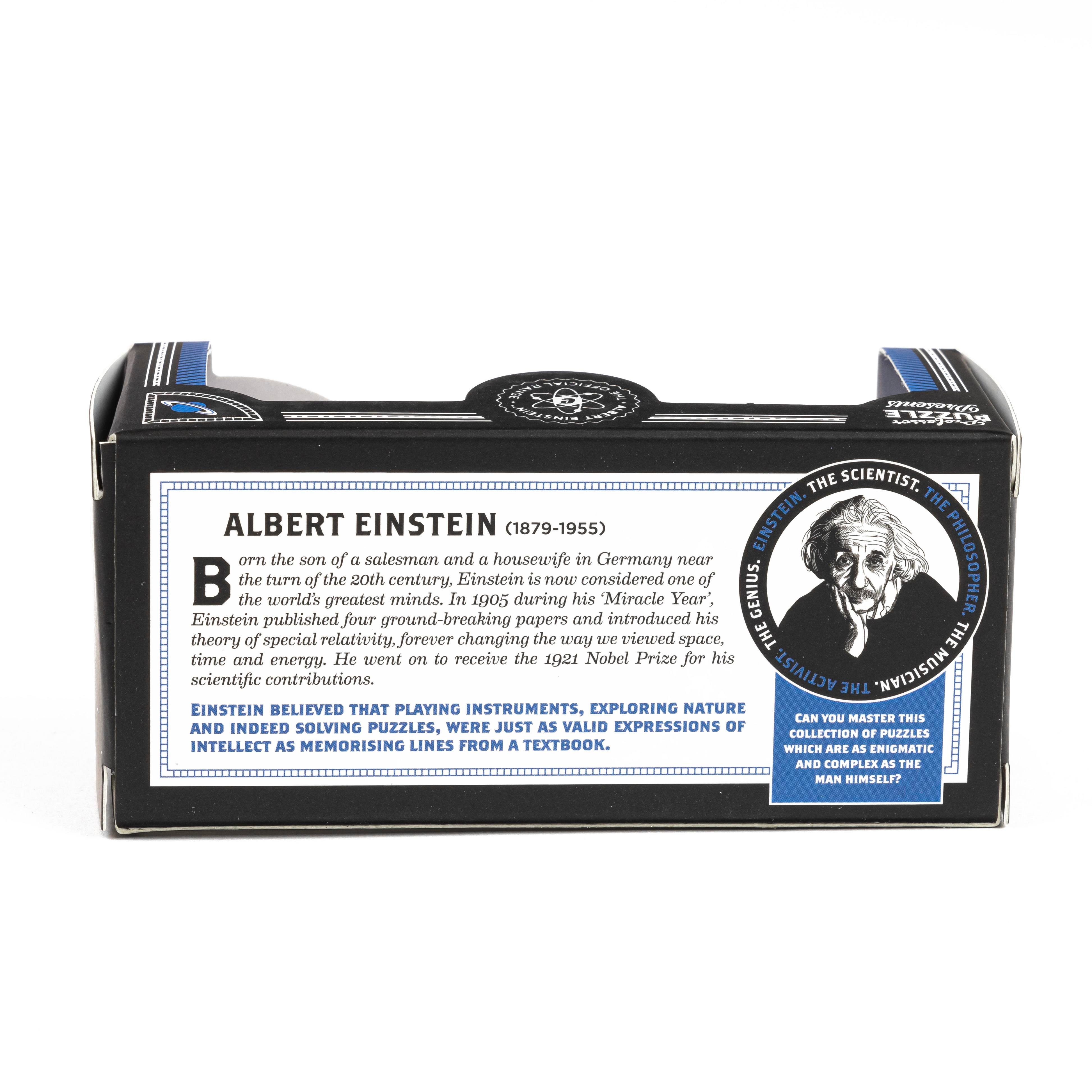 Professor PuzzleProfessor Puzzle - Zeka Oyunları - Mini Metal Bulmacalar DisplayEIN5227