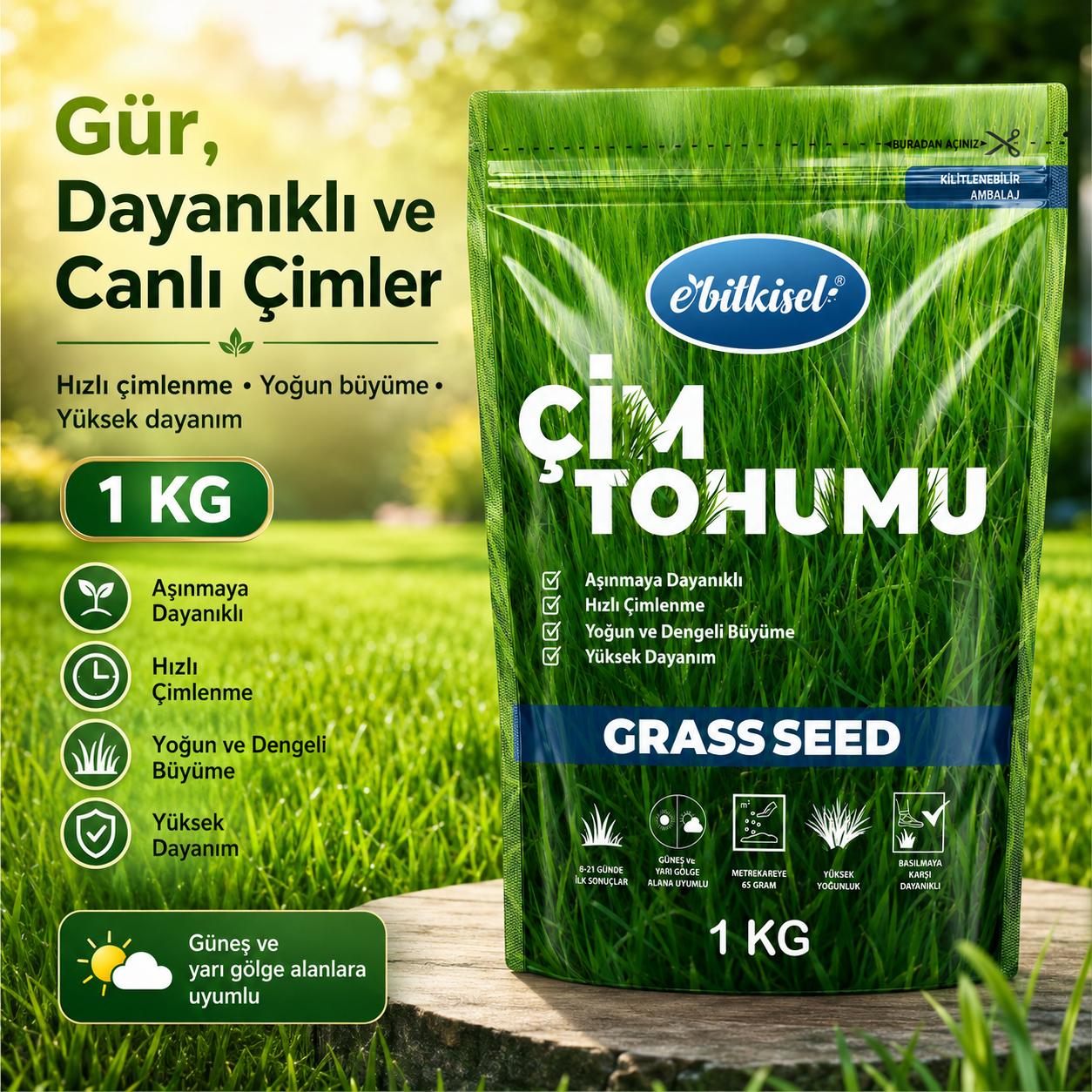Ebitkisel Çok Yıllık Çim Tohumu Uzun Ömürlü 6'lı Karışım Gölge ve Aşırı Güneşli Alan Uygun Yetiştirilmesi Kolay 4 Mevsim Yeşil
