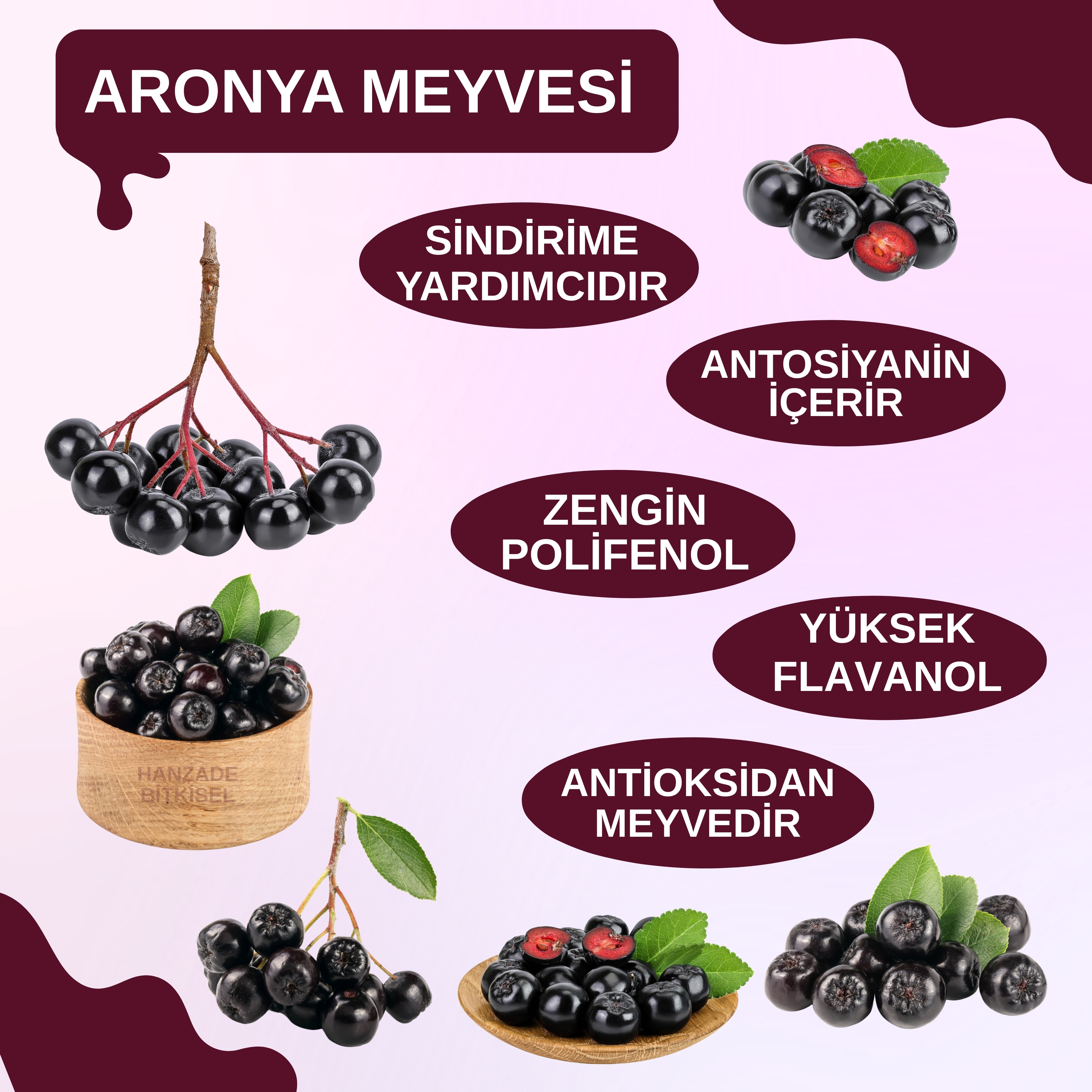 Hanzade Bitkisel Aronya Özü 500 ml – Soğuk Pres, Yoğun Tat, Cam Şişe