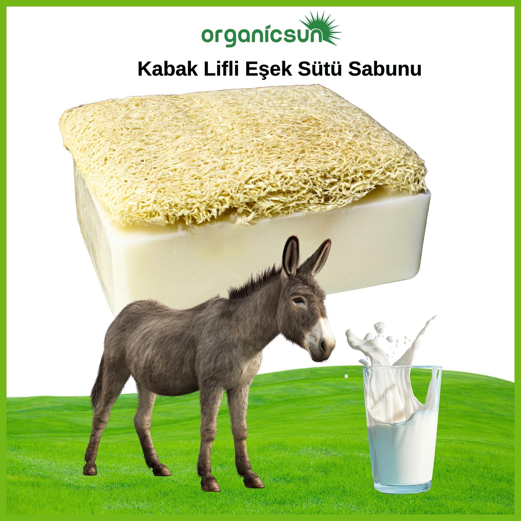 Organicsun Doğal Kabak Lifli Eşek Sütü Sabunu 120 Gr Tüm Cilt Tipleri İçin Kırışıklık ve Yaşlanma Karşıtı
