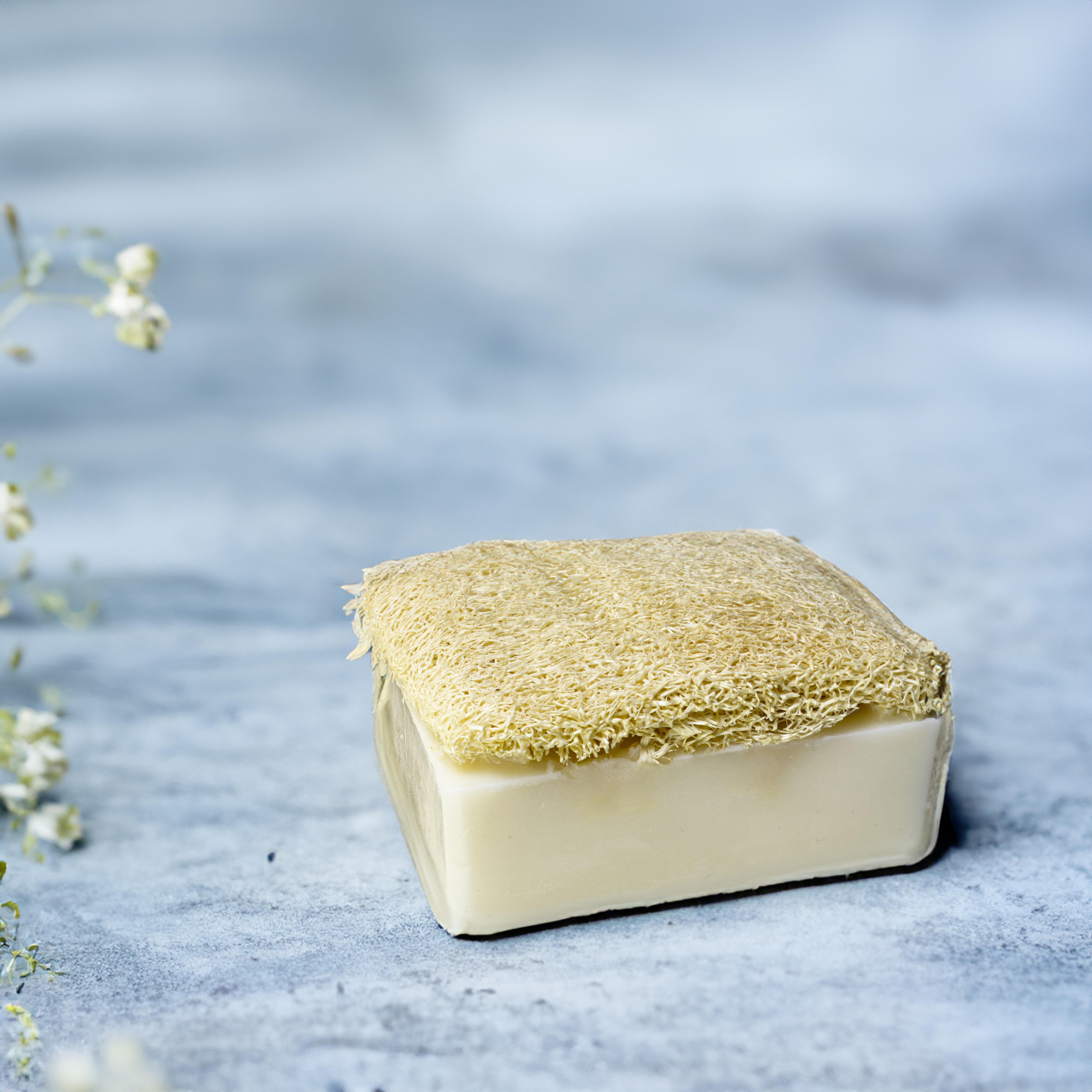 Organicsun Doğal Kabak Lifli Eşek Sütü Sabunu 120 Gr Tüm Cilt Tipleri İçin Kırışıklık ve Yaşlanma Karşıtı