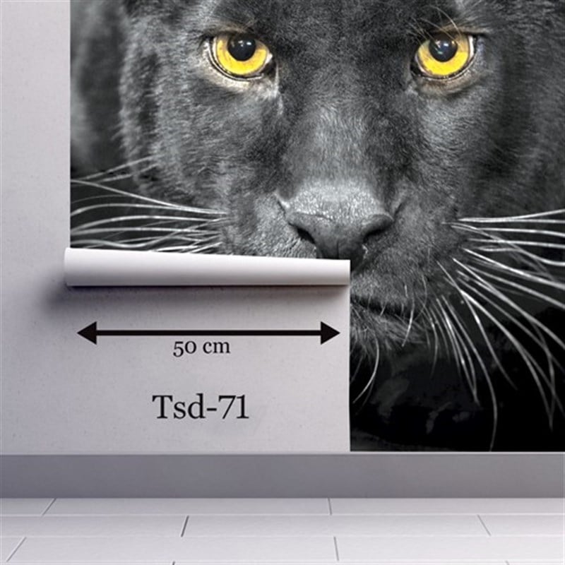 Tasarım Duvar Kağıdı TSD-71