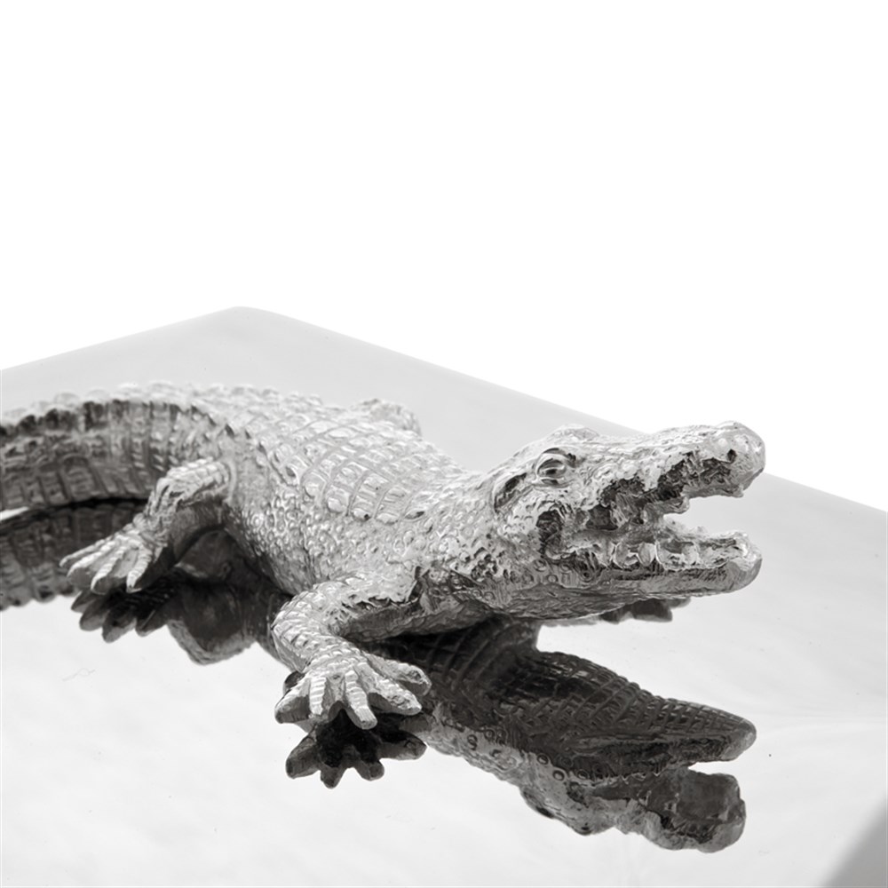 Box Rectangular Croc
