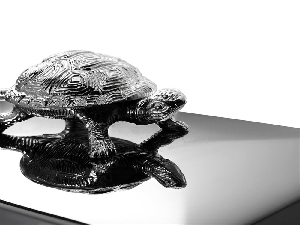 Tortoise Dikdörtgen Kutu