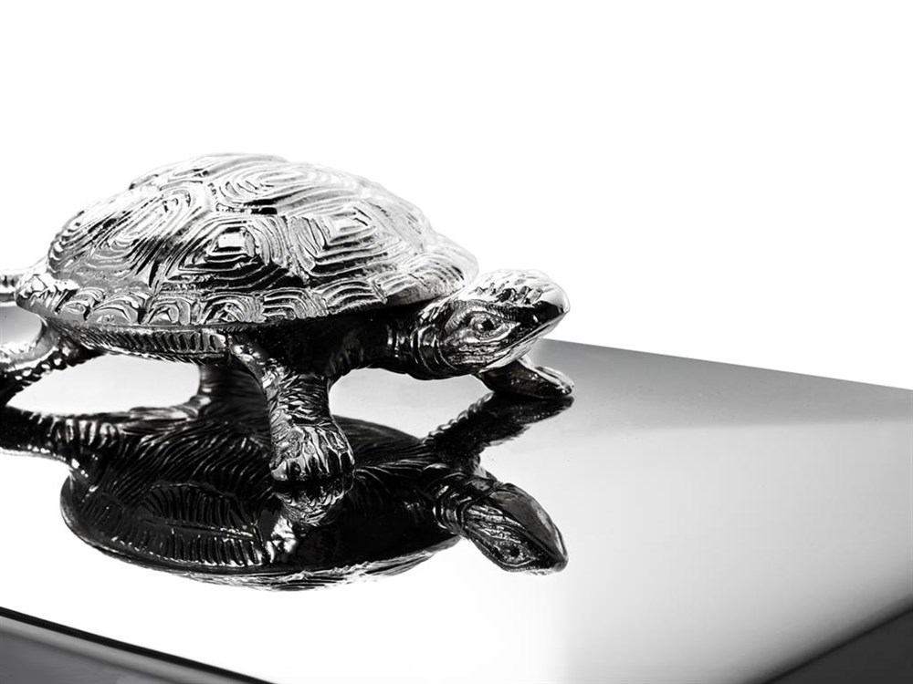 Tortoise Dikdörtgen Kutu