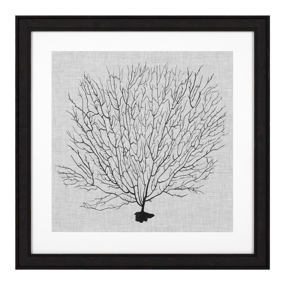 Shadow Sea Fans 4'lü Tablo