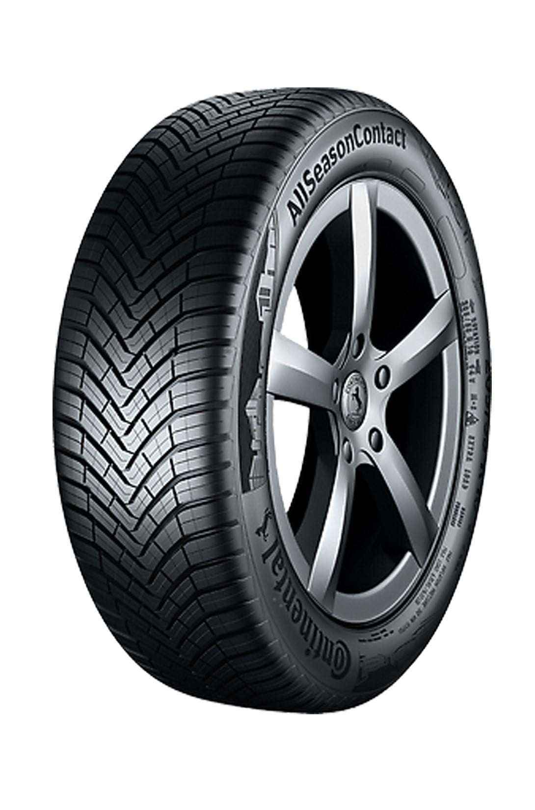 Continental 255/35R19 96Y AllSeasonContact XL FR Dört Mevsim LastikContinental3555140000Oto Lastik-LastikTR.com