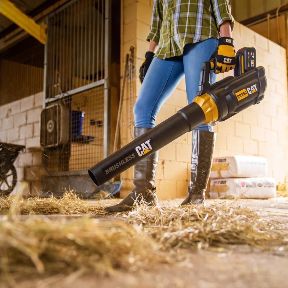 CAT DG250 18Volt 4.0Ah. Li-ion Tek Akülü Devir Ayarlı Profesyonel Yaprak ÜflemeCATDG250Yaprak Toplama ve Üfleme Makineleri-LastikTR.com
