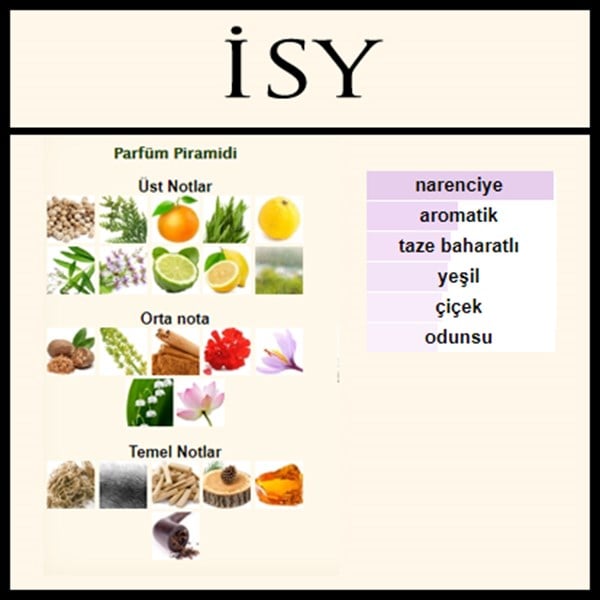 issey miyake l'eay d'issey pour homme