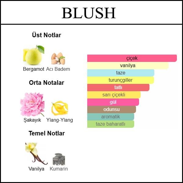 (BLUSH) Body & Hair Mist 150 ML