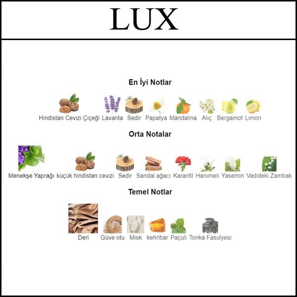 CD FAHRENHEIT [LUX] 50 ML