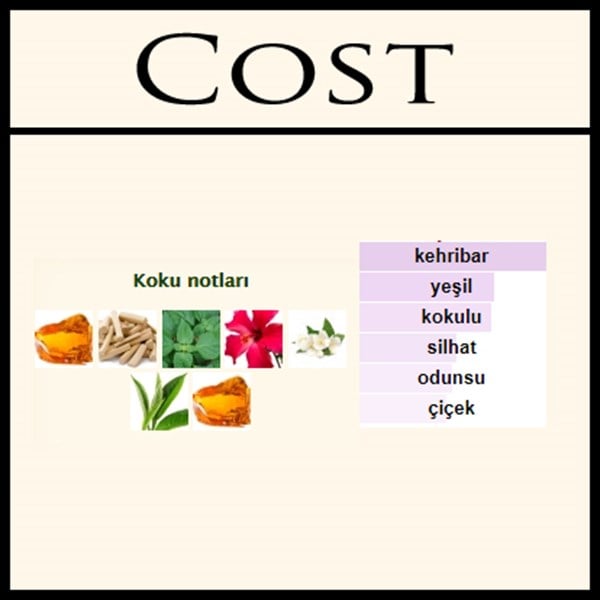 COSTUS INTRO [COST]