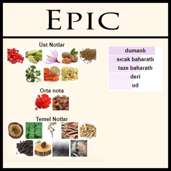ETHIC MAN [Epic]