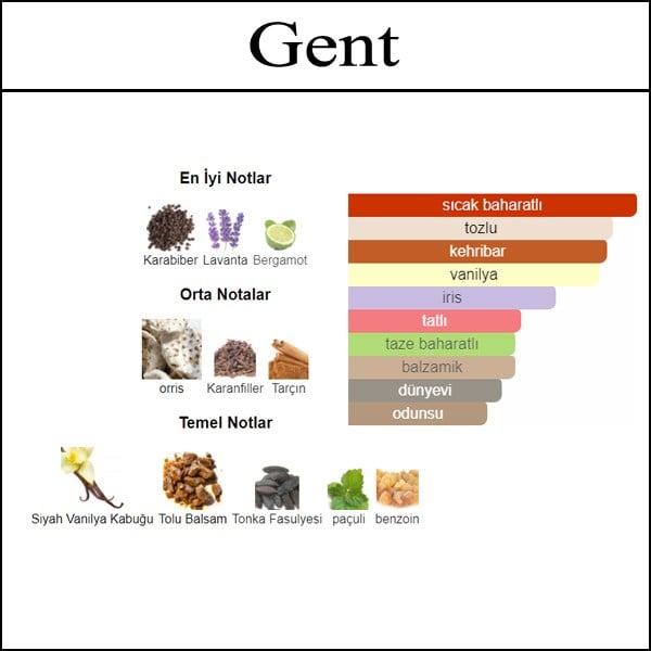 gentlemen açık parfüm