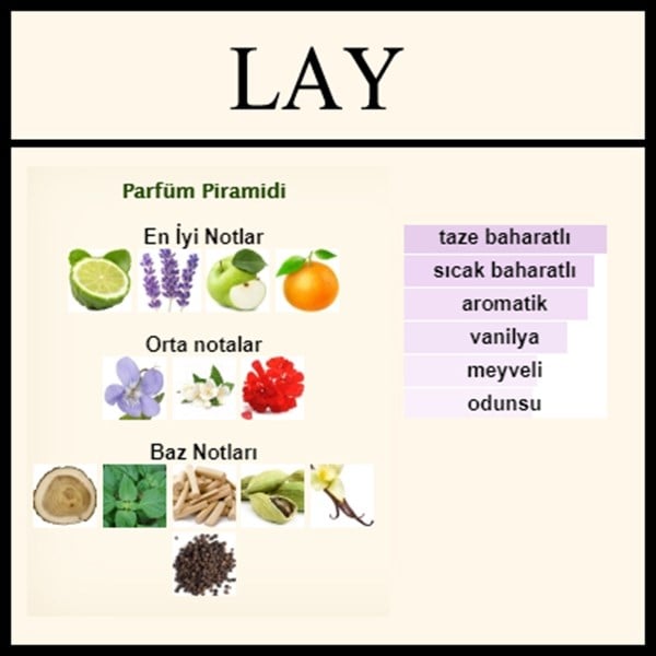 LAYTON açık parfüm