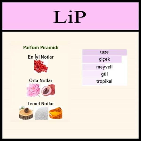 Ex nihilo - lust in paradise açık parfüm