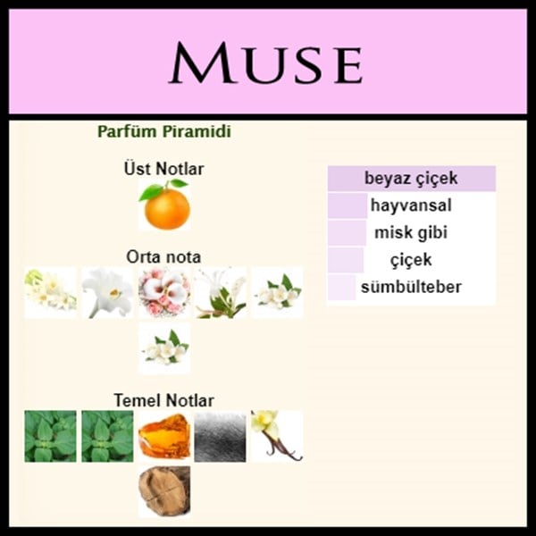 Estée Lauder Modern Muse