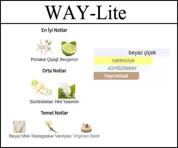 My Way [WAY-Lite] 250 ML (Kadın)