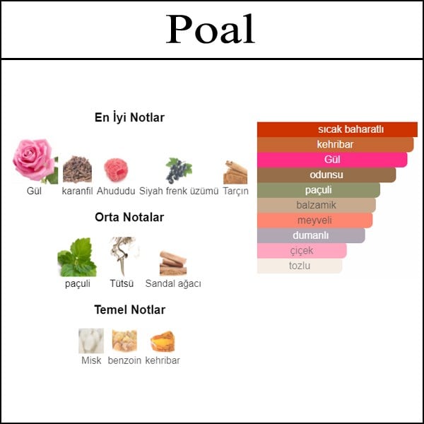 en iyi acik parfum, muadil parfum