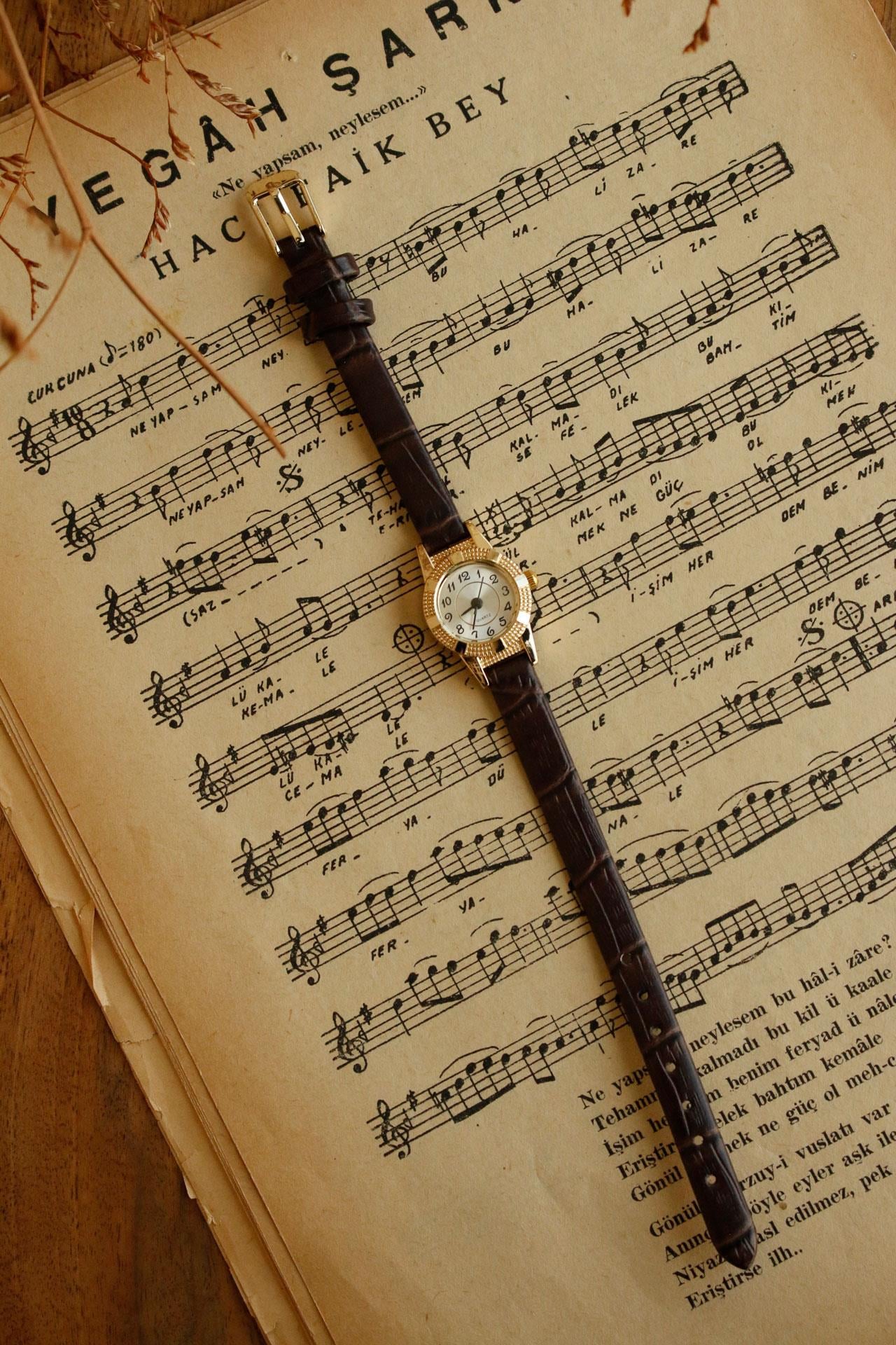 Damsey Minimal A.Kahve Deri Kadın Kol Saati