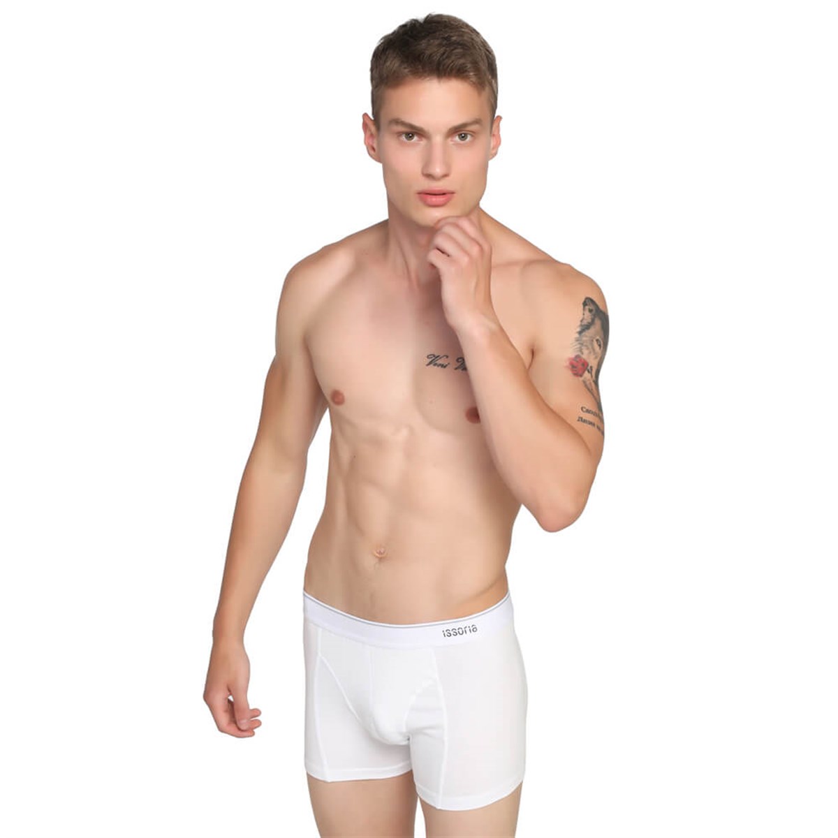 ISSORIA Erkek Boxer 3'lü Kutu Tip:4 (Gri-Siyah-Beyaz)