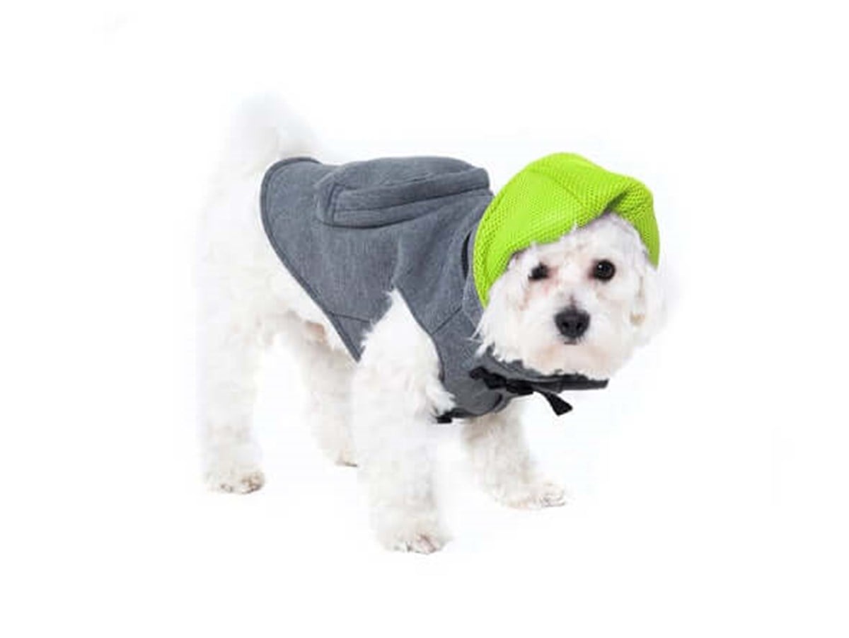 GRİ KÖPEK KIYAFETİ
