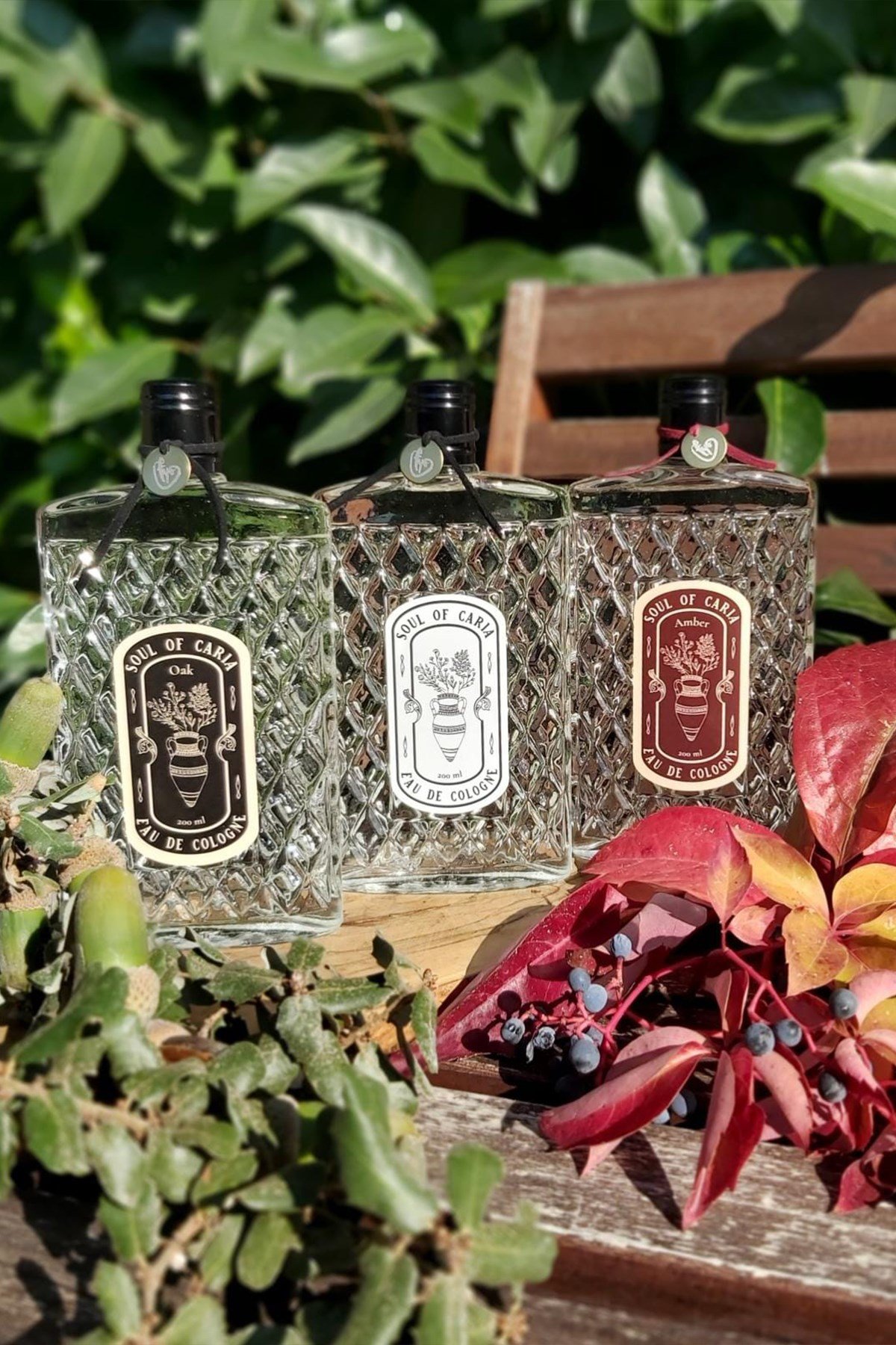 Soul Of Caria Eau De Kolonya Meşe