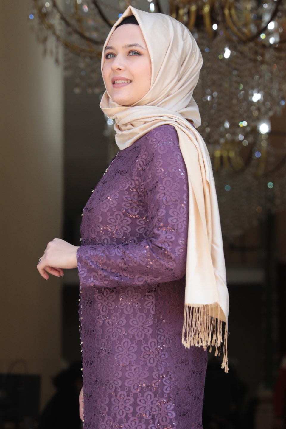Evening Dress - Lycra - Unlined - Crew Neck - Plum - AMH502