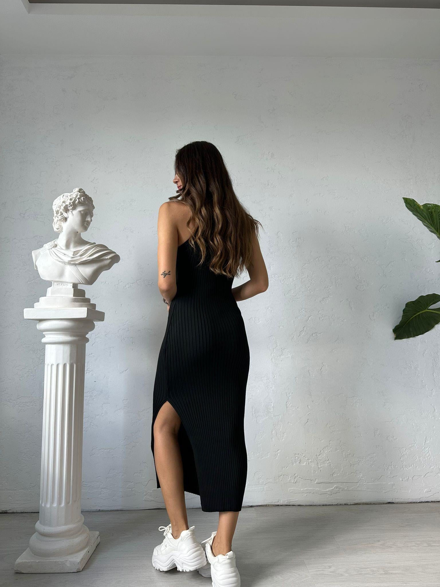 Siyah Balıkçı Yaka Triko Elbise