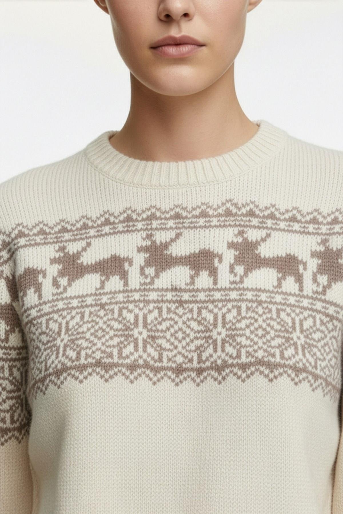 Ferraro Geyik Desenli Yumuşak Dokulu Yün Karışımlı Kadın Triko Kazak