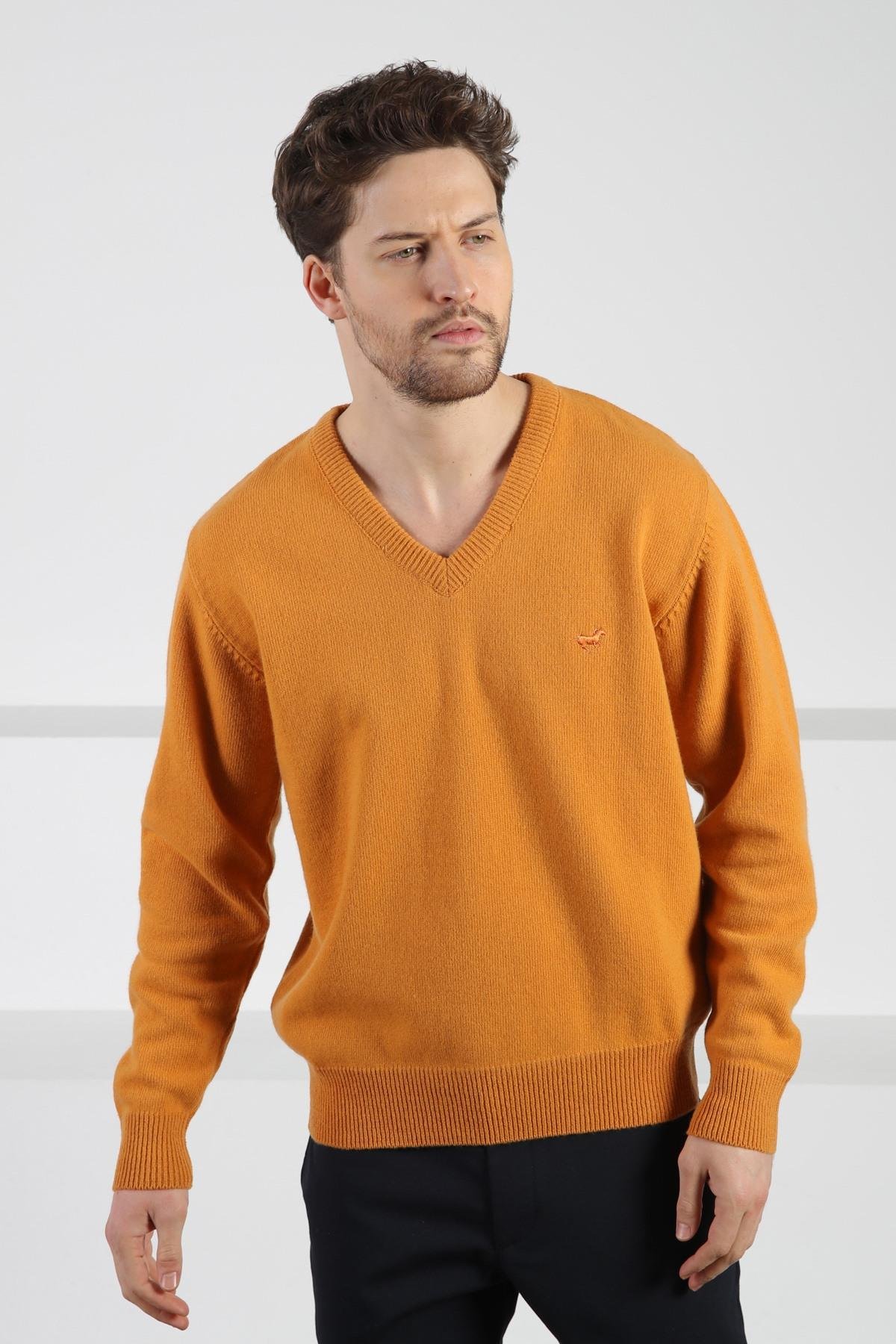 Ferraro Kavuniçi V Yaka Erkek Uzun Kollu %100 Kuzu Yünü Triko Kazak