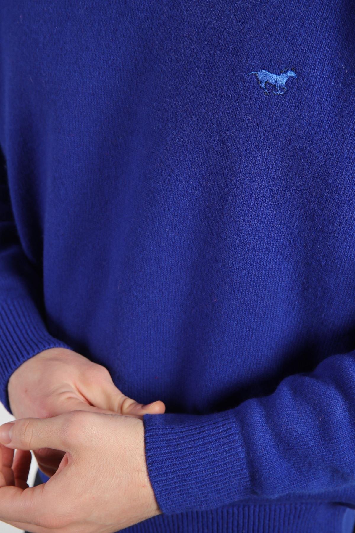 Ferraro Parma V Yaka Erkek Uzun Kollu %100 Kuzu Yünü Triko Kazak