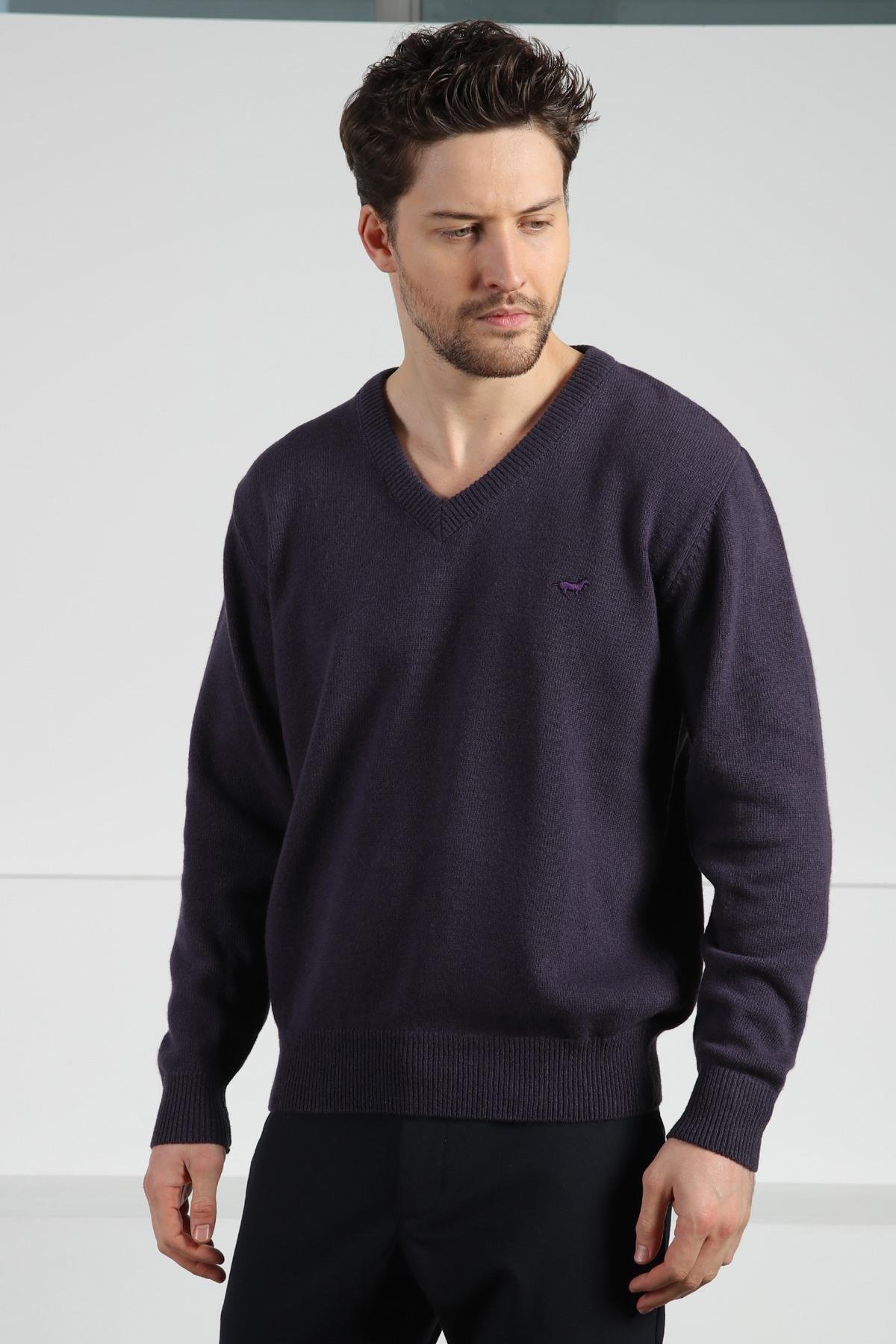 Ferraro Patlıcan V Yaka Erkek Uzun Kollu %100 Kuzu Yünü Triko Kazak