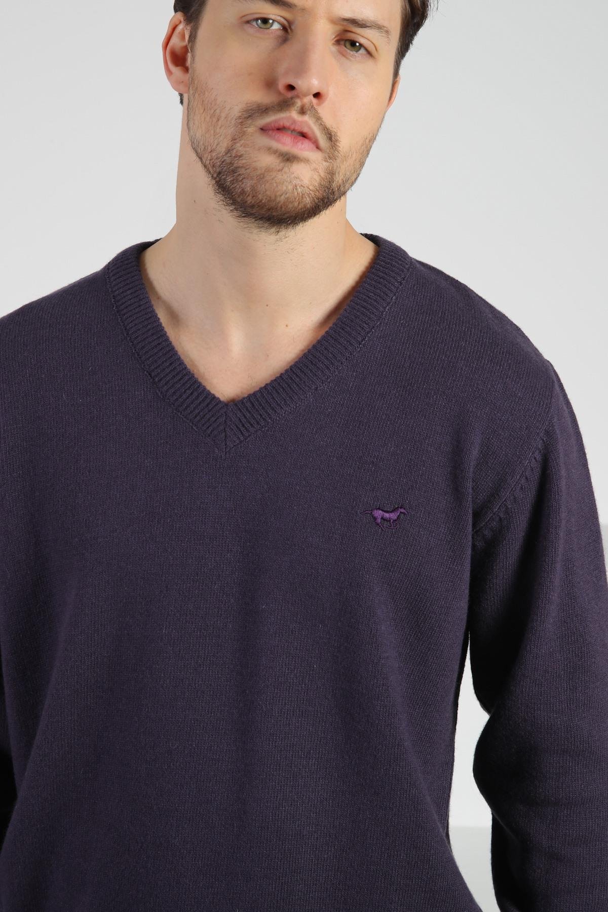 Ferraro Patlıcan V Yaka Erkek Uzun Kollu %100 Kuzu Yünü Triko Kazak