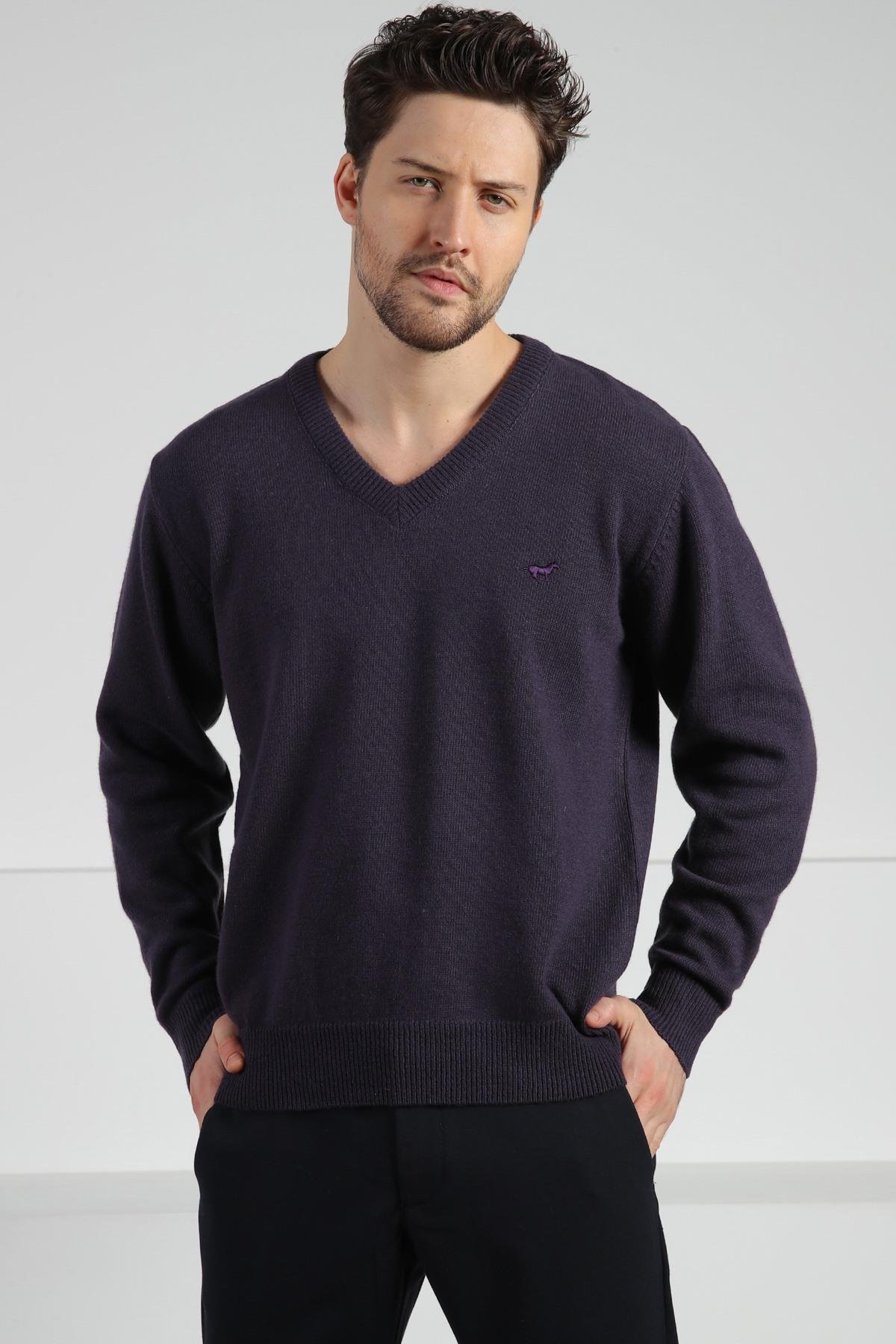 Ferraro Patlıcan V Yaka Erkek Uzun Kollu %100 Kuzu Yünü Triko Kazak