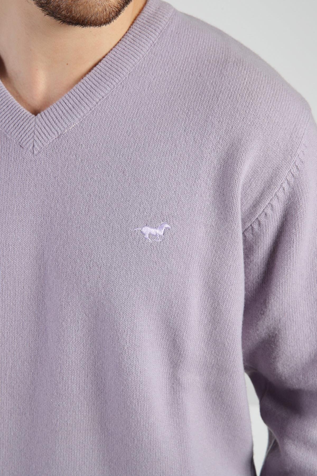 Ferraro Plico V Yaka Erkek Uzun Kollu %100 Kuzu Yünü Triko Kazak