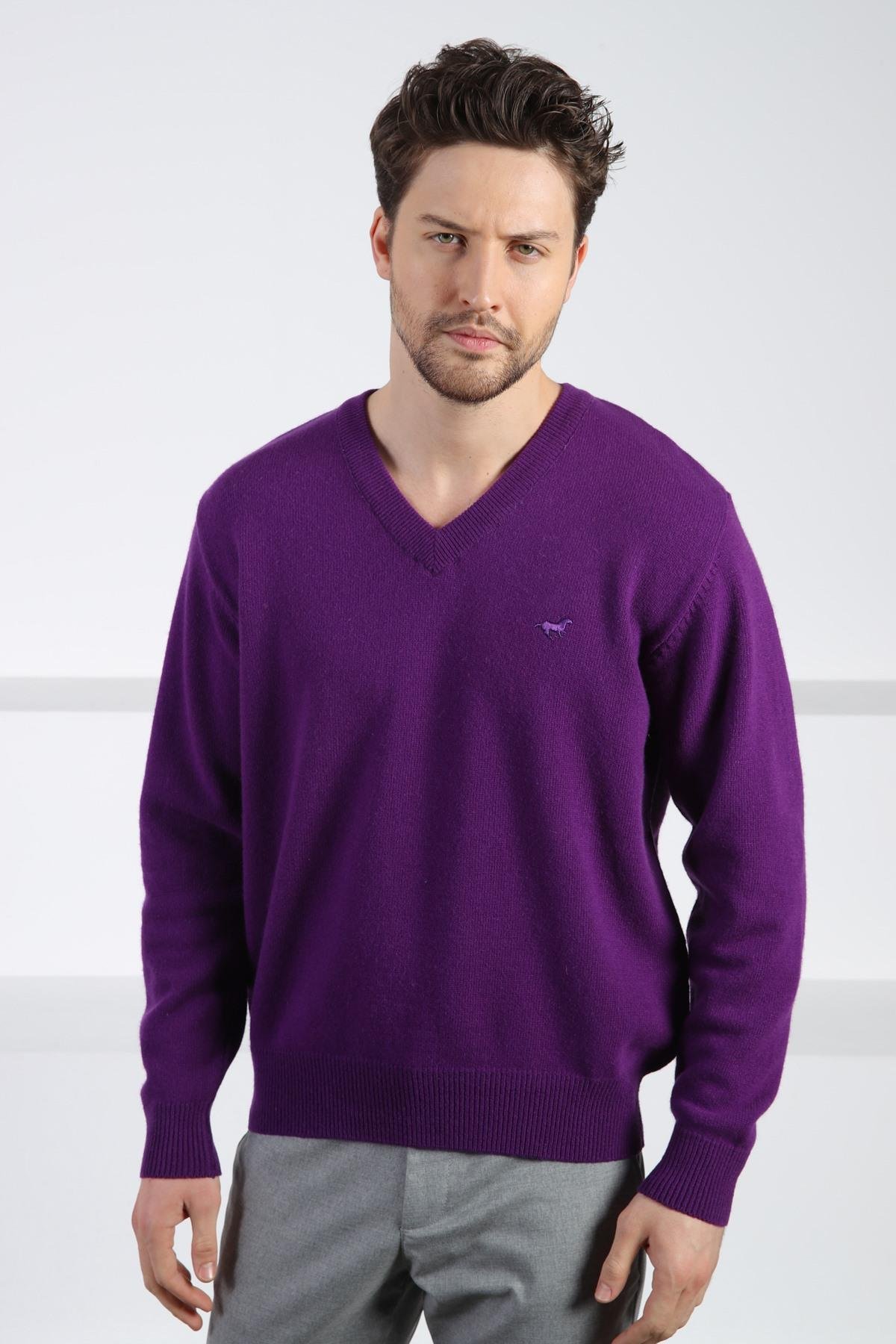 Ferraro Radar V Yaka Erkek Uzun Kollu %100 Kuzu Yünü Triko Kazak