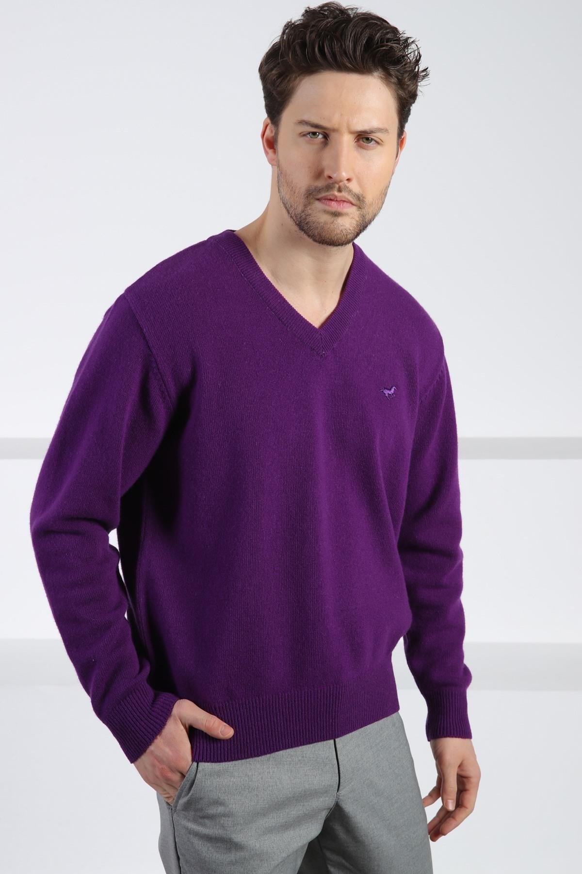 Ferraro Radar V Yaka Erkek Uzun Kollu %100 Kuzu Yünü Triko Kazak