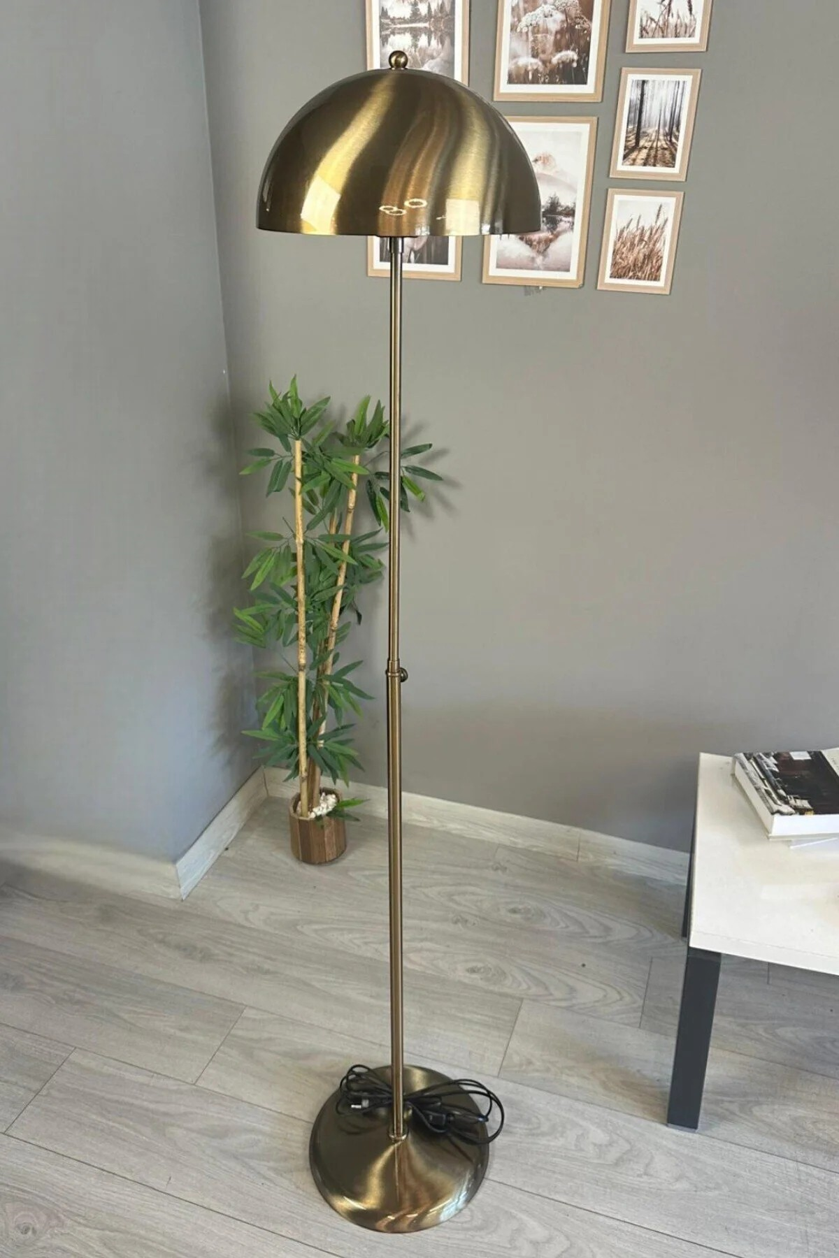 Eskitme Lambader Modern Dekoratif Metal Oturma Odası Çalışma Odası Zemin Lambası 170 Cm Kablo