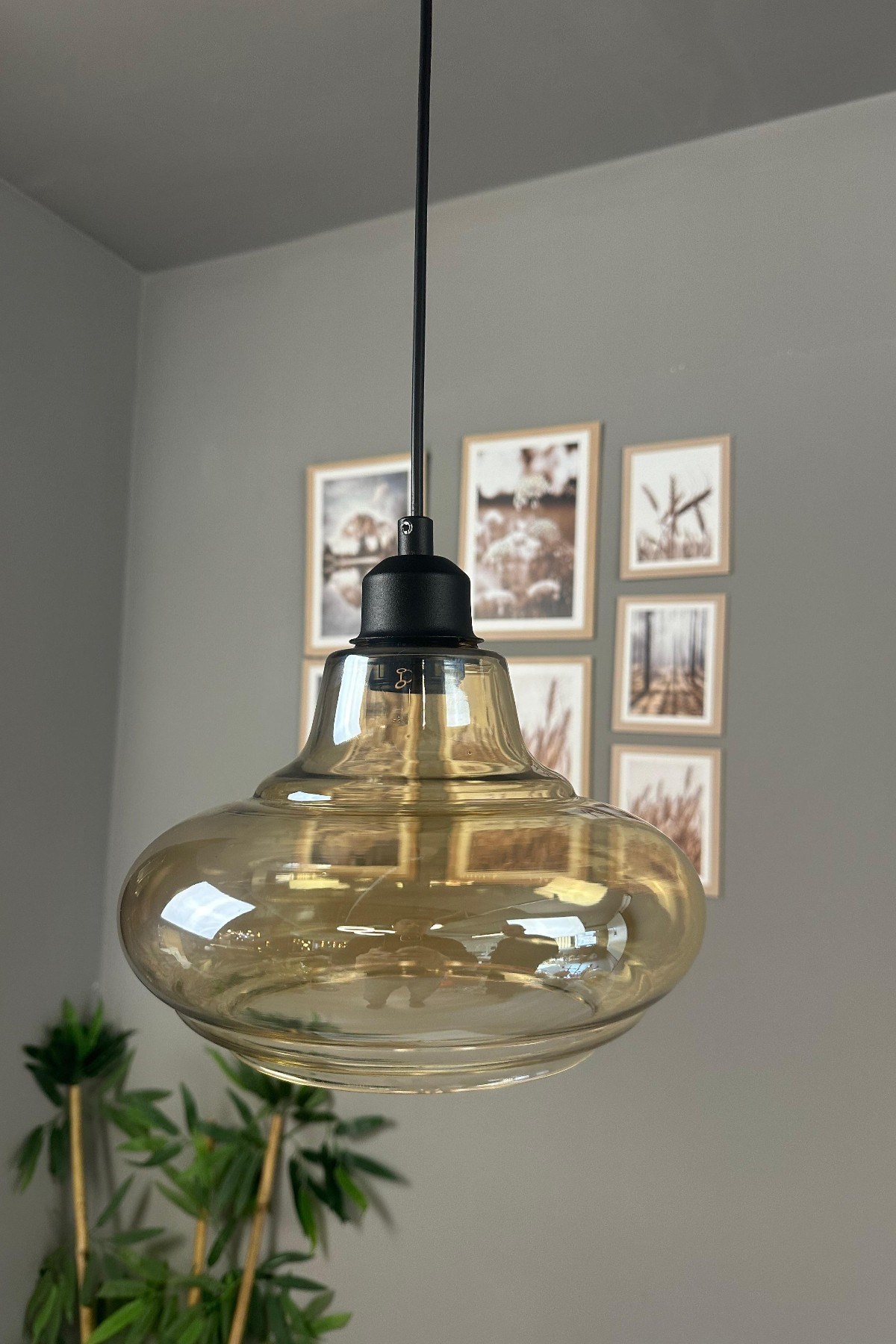 Lumsa Cam Bal Rengi Tekli Avize Siyah Yarım Lale Başlık Retro Sarkıt Lamba Salon Aydınlatma