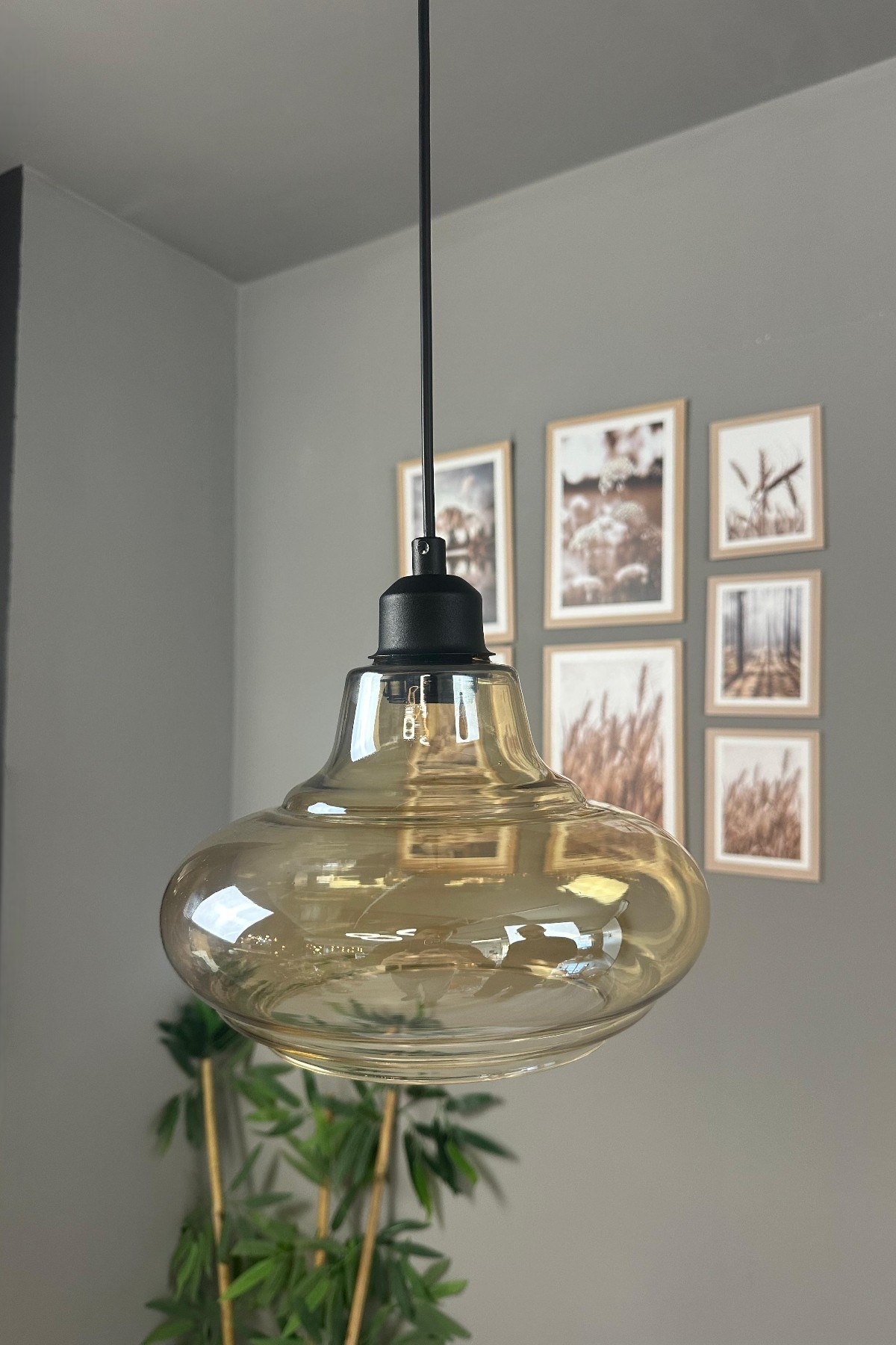 Lumsa Cam Bal Rengi Tekli Avize Siyah Yarım Lale Başlık Retro Sarkıt Lamba Salon Aydınlatma